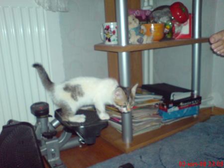 Прикачена снимка