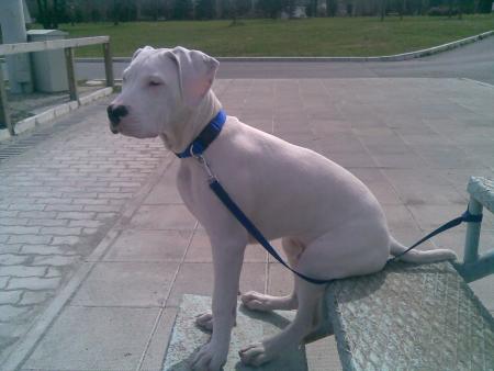 Прикачена снимка