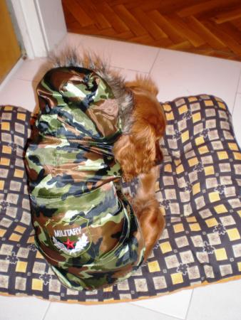 Прикачена снимка
