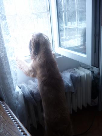 Прикачена снимка
