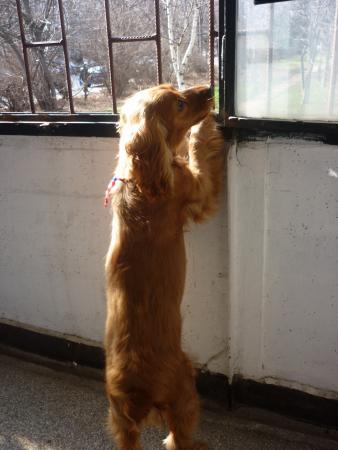 Прикачена снимка