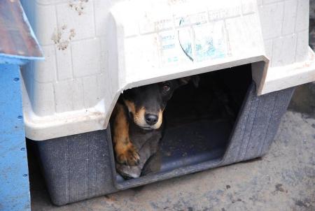 Прикачена снимка