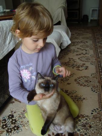 Прикачена снимка