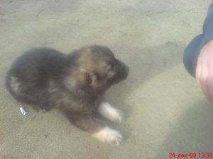 Прикачена снимка