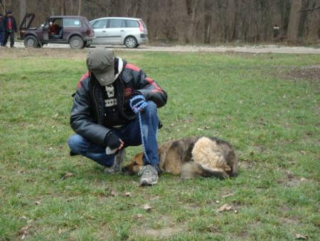 Прикачена снимка
