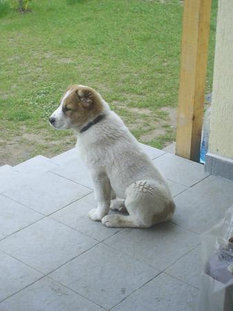 Прикачена снимка
