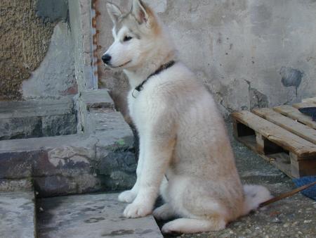 Прикачена снимка