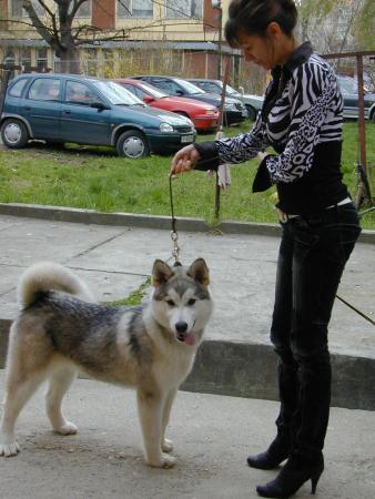 Прикачена снимка