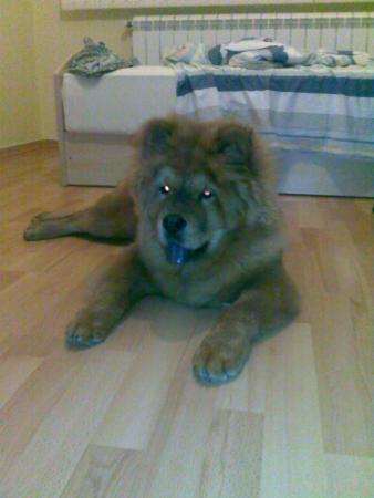 Прикачена снимка