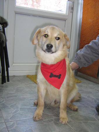Прикачена снимка