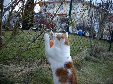 Прикачена снимка