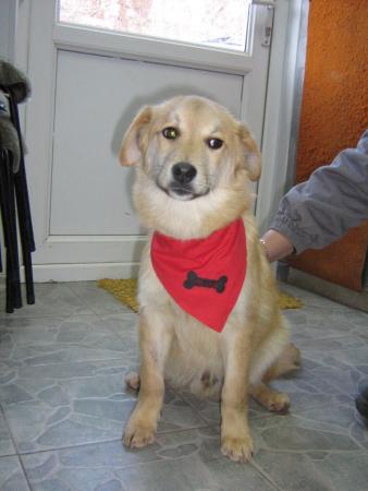Прикачена снимка