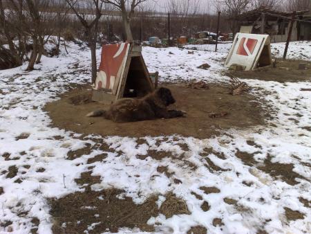 Прикачена снимка