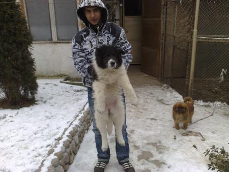 Прикачена снимка