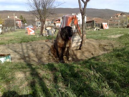 Прикачена снимка