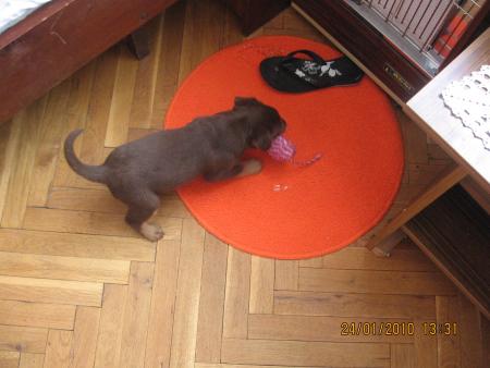 Прикачена снимка