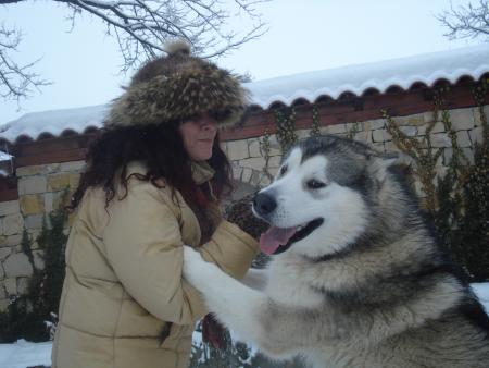 Прикачена снимка