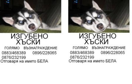Прикачена снимка