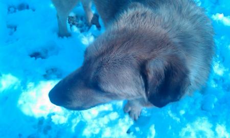 Прикачена снимка