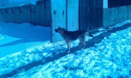Прикачена снимка