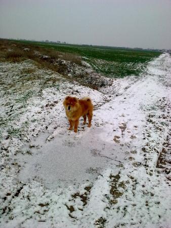 Прикачена снимка