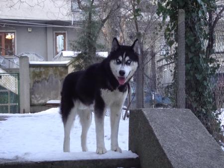 Прикачена снимка