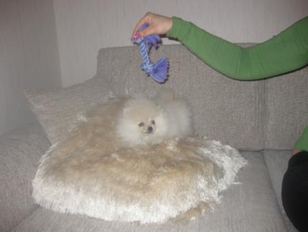 Прикачена снимка