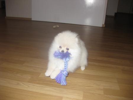 Прикачена снимка