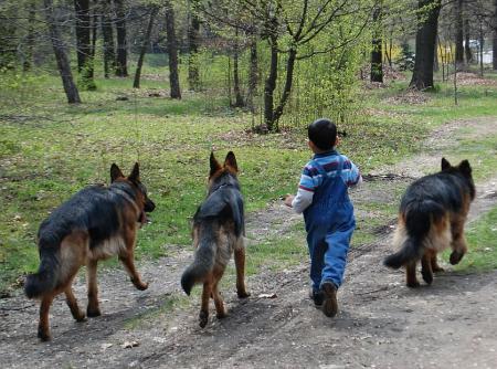 Прикачена снимка