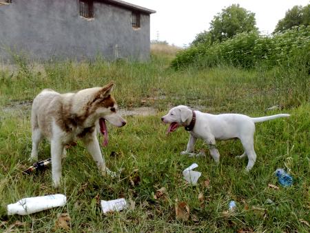 Прикачена снимка