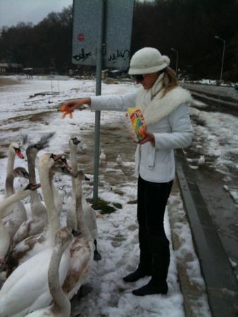 Прикачена снимка
