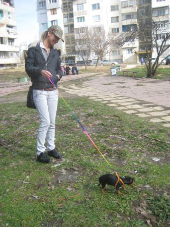 Прикачена снимка