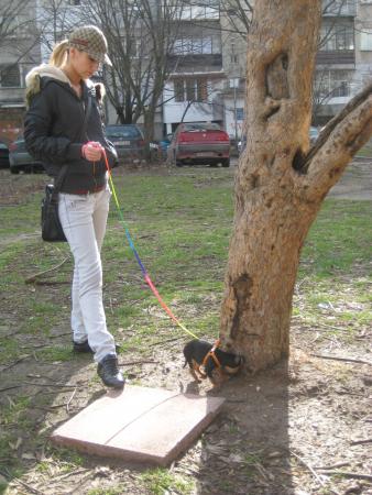 Прикачена снимка
