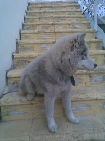 Прикачена снимка