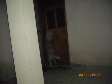 Прикачена снимка