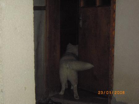Прикачена снимка