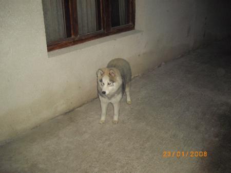 Прикачена снимка