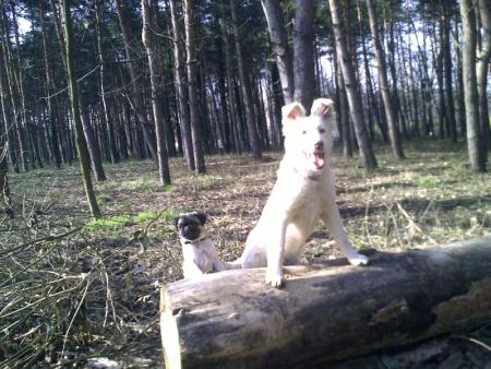 Прикачена снимка