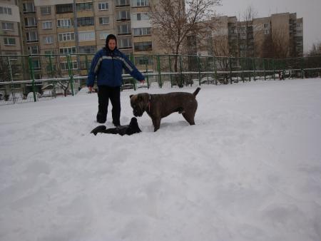 Прикачена снимка