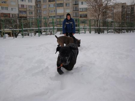 Прикачена снимка