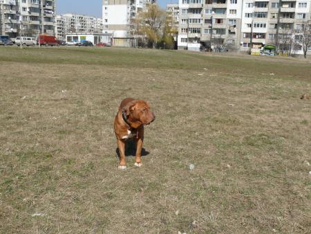 Прикачена снимка