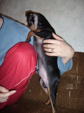 Прикачена снимка