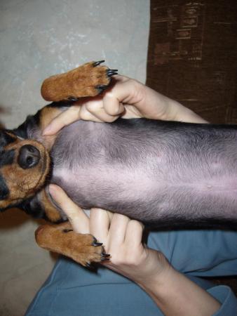 Прикачена снимка