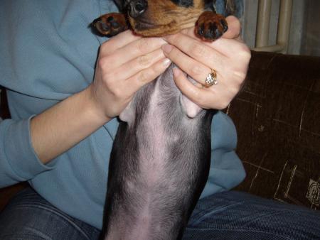 Прикачена снимка