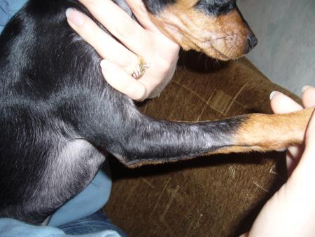 Прикачена снимка