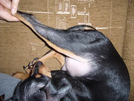 Прикачена снимка