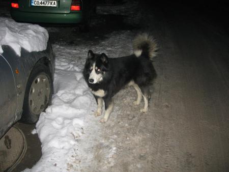 Прикачена снимка