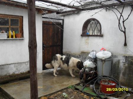 Прикачена снимка