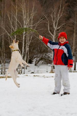 Прикачена снимка