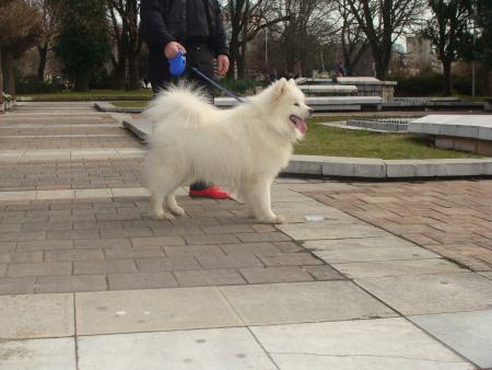 Прикачена снимка